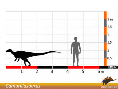 Größenvergleich / Dinodata.de. Creative Commons 4.0 International (CC BY 4.0)
