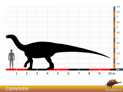 Größenvergleich / Dinodata.de. Creative Commons 4.0 International (CC BY 4.0)