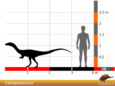 Größenvergleich / Dinodata.de. Creative Commons 4.0 International (CC BY 4.0)