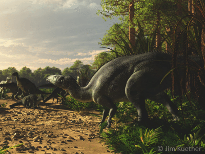 Camptosaurus / © James Kuether. Verwendet mit freundlicher Genehmigung des Autors. Camptosaurus / © James Kuether. Verwendet mit freundlicher Genehmigung des Autors.