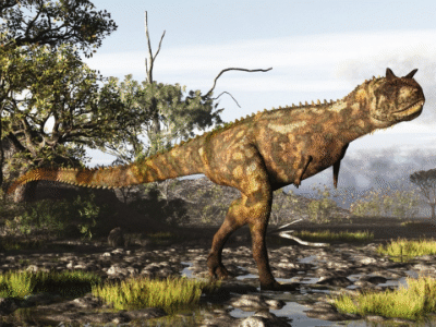 Carnotaurus / © Raul Lunia. Verwendet mit freundlicher Genehmigung des Autors. Carnotaurus / © Raul Lunia. Verwendet mit freundlicher Genehmigung des Autors.