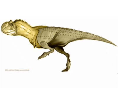 Carnotaurus / © Joao Boto Carnotaurus / © Joao Boto. Verwendet mit freundlicher Genehmigung des Autors.