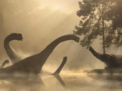 Cedarosaurus / © Johnson-Mortimer Cedarosaurus / © Johnson-Mortimer