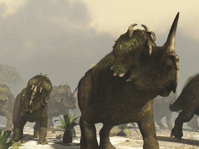 Centrosaurus/ © Raul Lunia. Verwendet mit freundlicher Genehmigung des Autors Centrosaurus/ © Raul Lunia. Verwendet mit freundlicher Genehmigung des Autors