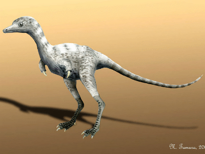 Ceratonykus / © N. Tamura. Verwendet mit freundlicher Genehmigung des Autors.