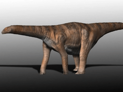 Cetiosaurus / © N. Tamura. Verwendet mit freundlicher Genehmigung des Autors. Cetiosaurus / © N. Tamura. Verwendet mit freundlicher Genehmigung des Autors.