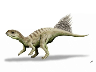 Chaoyangsaurus / © N. Tamura. Verwendet mit freundlicher Gnehmigung des Autors