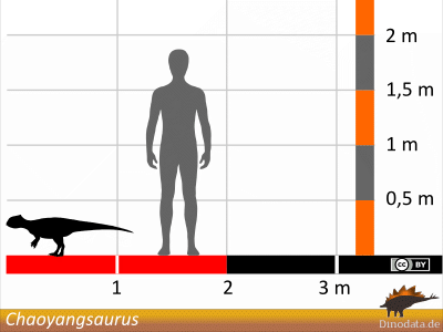 Größenvergleich © Dinodata.de