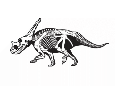 Chasmosaurus / © Sampson et al. Chasmosaurus / © Sampson et al.