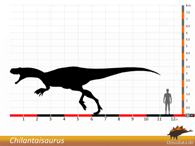 Größenvergleich / Dinodata.de. Creative Commons 4.0 International (CC BY 4.0)