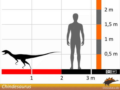 Größenvergleich / Dinodata.de. Creative Commons 4.0 International (CC BY 4.0)
