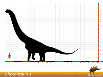 Größenvergleich / Dinodata.de. Creative Commons 4.0 International (CC BY 4.0)