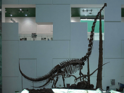 Chuanjiesaurus / Yan Li. Creative Commons NonCommercial-ShareAlike 2.0 Generic (CC BY-NC-SA 2.0) Chuanjiesaurus / Yan Li. Creative Commons NonCommercial-ShareAlike 2.0 Generic (CC BY-NC-SA 2.0)