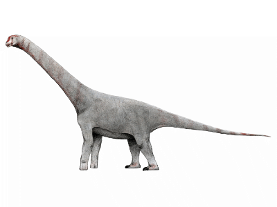 Chubutisaurus / © LeviBernardo13