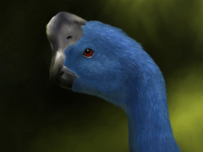 Citipati / © Beate Basner. Verwendet mit freundlicher Genehmigung der Autorin.