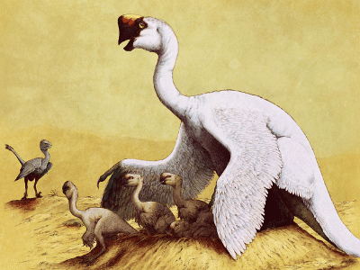 Citipati / © Edyta Felcyn-Kowalska. Verwendet mit freundlicher Genehmigung des Autors.