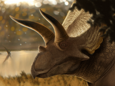 Coahuilaceratops / © Gustavo Monroy Coahuilaceratops / © Gustavo Monroy