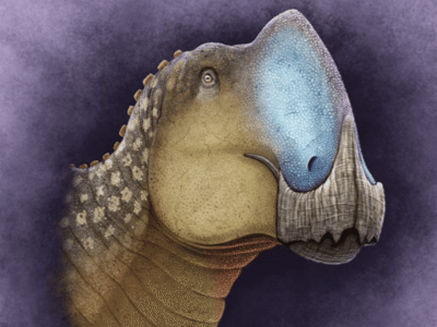 Coahuilasaurus / © C. Díaz Frías Coahuilasaurus / © C. Díaz Frías