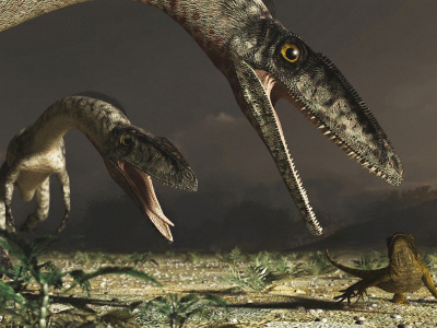 Coelophysis / © Raul Lunia. Verwendet mit freundlicher Genehmigung des Autors Coelophysis / © Raul Lunia. Verwendet mit freundlicher Genehmigung des Autors