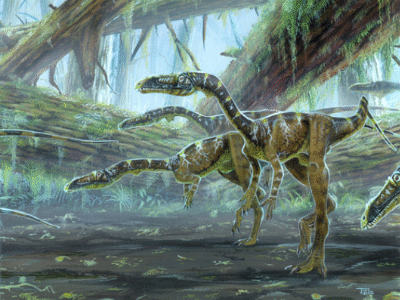 Coelophysis / © Todd Marshall Coelophysis / © Todd Marshall