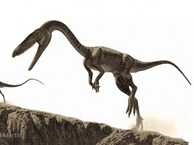 Coelophysis / © Raul Martin. Verwendet mit freundlicher Genehmigung des Autors Coelophysis / © Raul Martin. Verwendet mit freundlicher Genehmigung des Autors