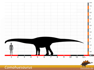 Größenvergleich / Dinodata.de. Creative Commons 4.0 International (CC BY 4.0)