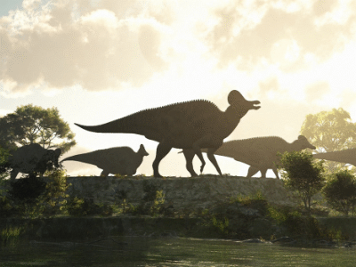 Corythosaurus / © Raul Lunia. Verwendet mit freundlicher Genehmigung des Autors. Corythosaurus / © Raul Lunia. Verwendet mit freundlicher Genehmigung des Autors.