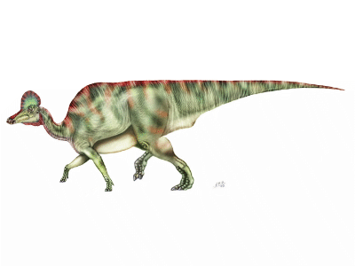 Corythosaurus / © Sergio Perez. Verwendet mit freundlicher Genehmigung des Autors. Corythosaurus / © Sergio Perez. Verwendet mit freundlicher Genehmigung des Autors.