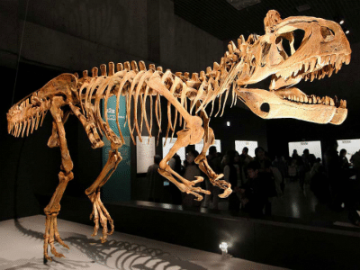 Skelett des Cryolophosaurus / Kabacchi. Creative Commons 2.0 Generic (CC BY 2.0)