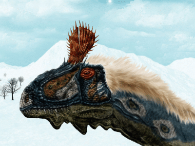 Cryolophosaurus / © Josep Asensi. Verwendet mit freundlicher Genehmigung des Autors. Cryolophosaurus / © Josep Asensi. Verwendet mit freundlicher Genehmigung des Autors.