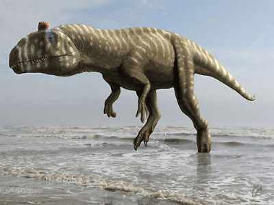 Cryolophosaurus / © Julius Csotonyi. Verwendet mit freundlicher Genehmigung des Autors