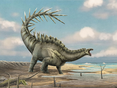 Dacentrurus / © A. Blázquez