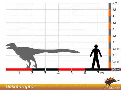 Größenvergleich / Dinodata.de. Creative Commons 4.0 International (CC BY 4.0)