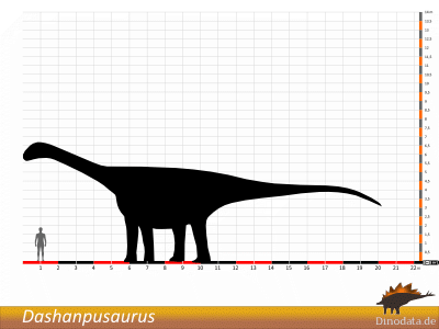 Größenvergleich / Dinodata.de. Creative Commons 4.0 International (CC BY 4.0)