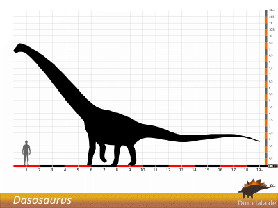 Größenvergleich / © Dinodata.de