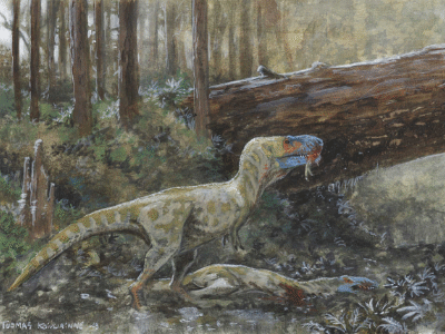 Daspletosaurus / © Tuomas Koivurinne Daspletosaurus / © Tuomas Koivurinne. Verwendet mit freundlicher Genehmigung des Autors.