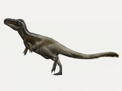 Daspletosaurus / © Josep Asensi Daspletosaurus / © Josep Asensi. Verwendet mit freundlicher Genehmigung des Autors.