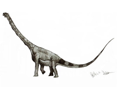 Daxiatitan / © Robinson Kunz. Verwendet mit freundlicher Genehmigung des Autors. Daxiatitan / © Robinson Kunz. Verwendet mit freundlicher Genehmigung des Autors.