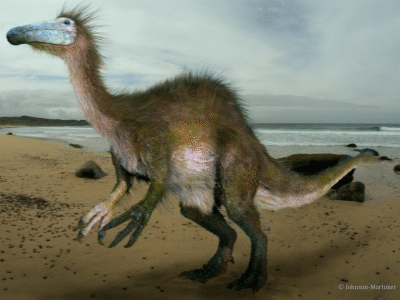 Deinocheirus / © Johnson-Mortimer