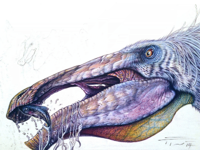 Deinocheirus / © Fabio Pastori Deinocheirus / © Fabio Pastori. Verwendet mit freundlicher Genehmigung des Autors.