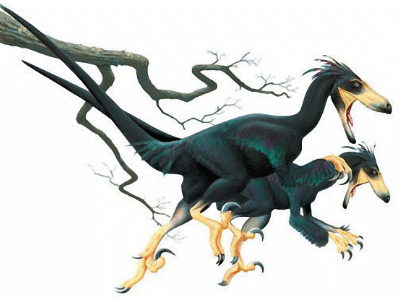 Deinonychus / © Jan-Ake Winqvist. Verwendet mit freundlicher Genehmigung des Autors. Deinonychus / © Jan-Ake Winqvist. Verwendet mit freundlicher Genehmigung des Autors.