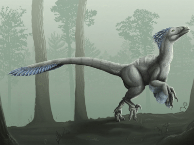 Deinonychus / © Emily Willoughby. Verwendet mit freundlicher Genehmigung der Autorin Deinonychus / © Emily Willoughby. Verwendet mit freundlicher Genehmigung der Autorin
