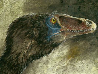 Deinonychus / © Tuomas Koivurinne Deinonychus / © Tuomas Koivurinne. Verwendet mit freundlicher Genehmigung des Autors.