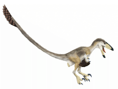 Deinonychus / © Scott Hartman Deinonychus / © Scott Hartman. Verwendet mit freundlicher Genehmigung des Autors.