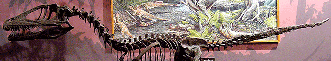 Deinonychus / Linden Tea. Creative Commons NonCommercial-NoDerivs 2.0 Generic (CC BY-NC-ND 2.0)