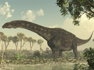 Diamantinasaurus / © Raul Lunia. Verwendet mit freundlicher Genehmigung des Autors. Diamantinasaurus / © Raul Lunia. Verwendet mit freundlicher Genehmigung des Autors.
