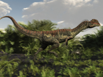Dilophosaurus / © Raul Lunia. Verwendet mit freundlicher Genehmigung des Autors Dilophosaurus / © Raul Lunia. Verwendet mit freundlicher Genehmigung des Autors