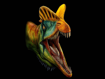 Dilophosaurus / © Davide Bonadonna Dilophosaurus / © Davide Bonadonna. Verwendet mit freundlicher Genehmigung des Autors.