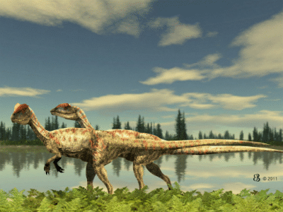 Dilophosaurus / © Beate Basner. Verwendet mit freundlicher Genehmigung der Autorin.