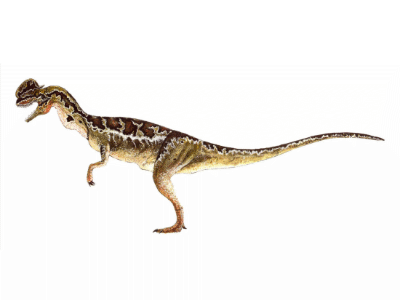 Dilophosaurus / © Bruno Hernandez. Verwendet mit freundlicher Genehmigung des Autors.